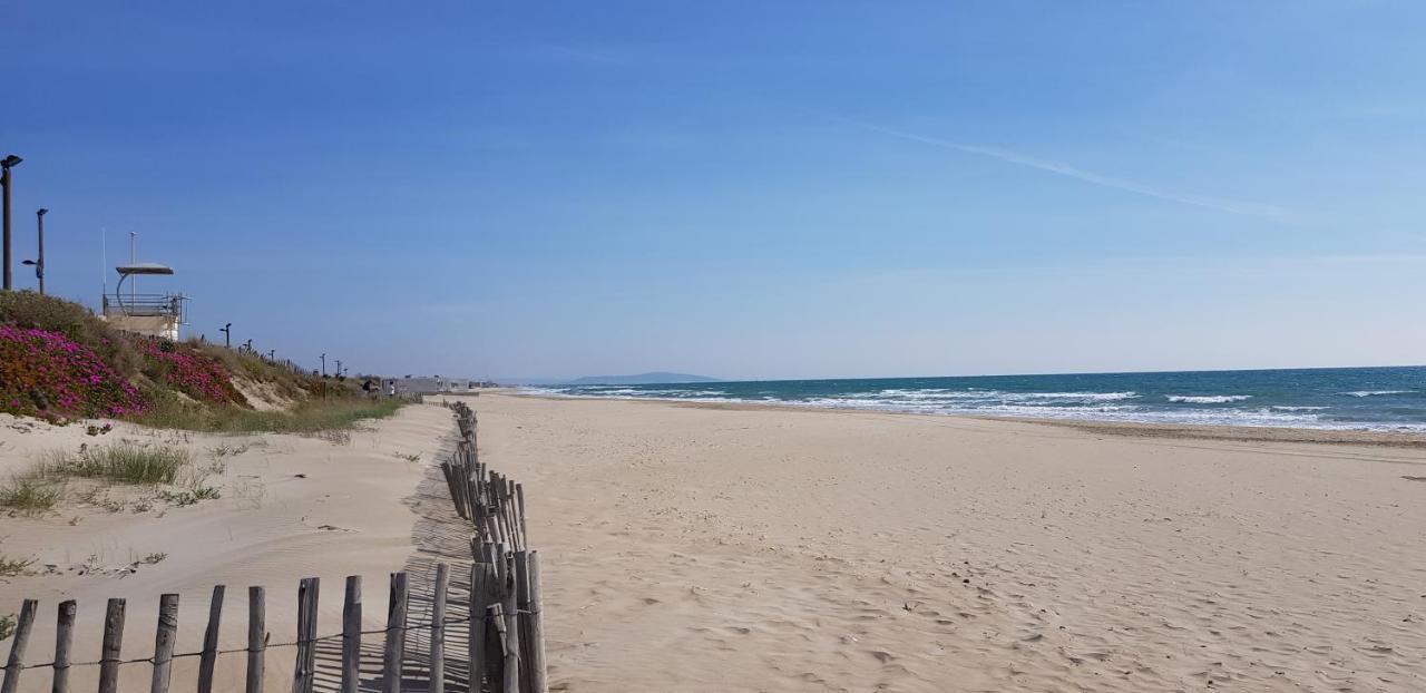 Studio Naturiste "Tropiques" Heliopolis Fg Agde Kültér fotó
